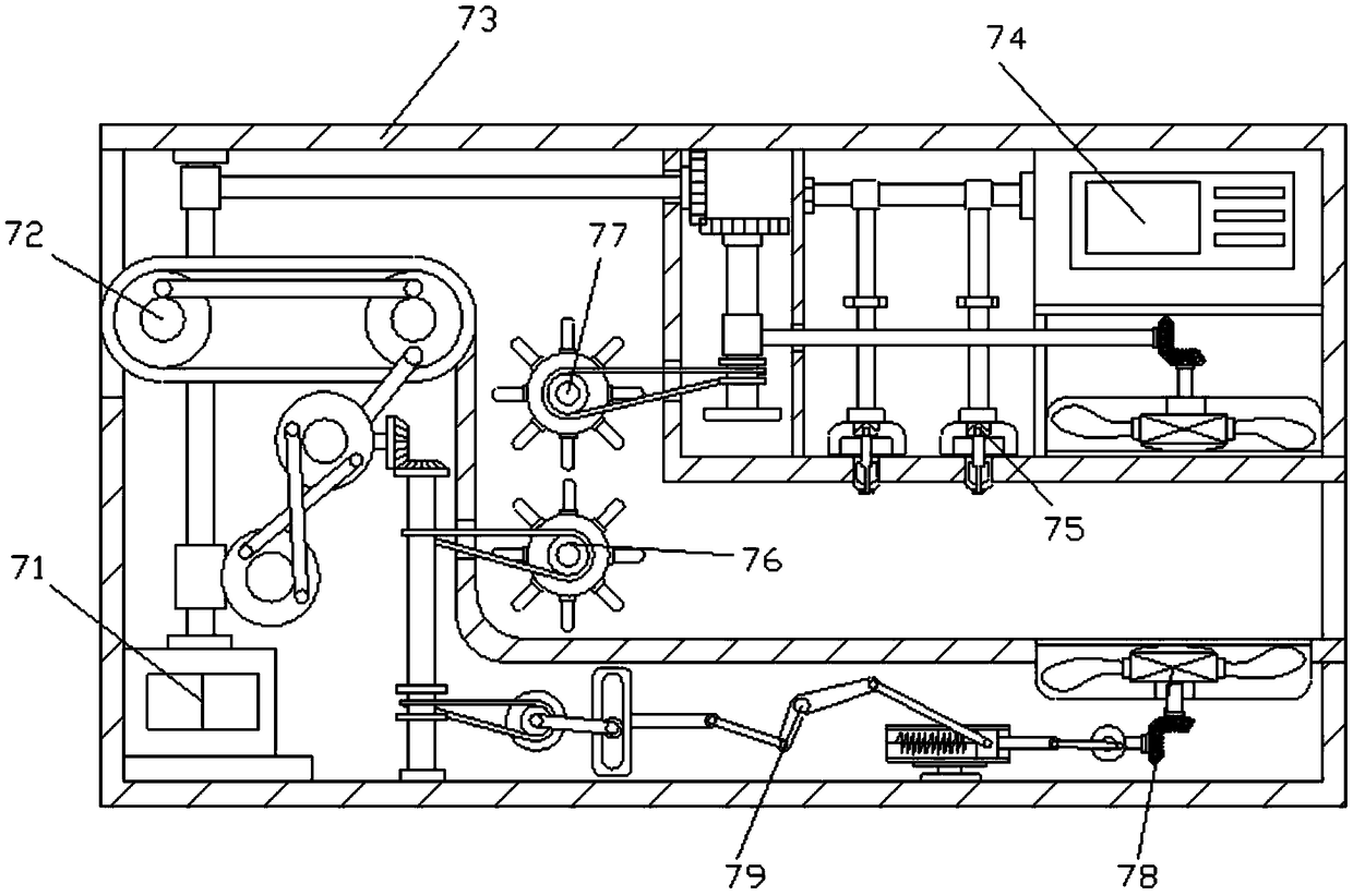 Vegetable sorting machine for vegetable processing