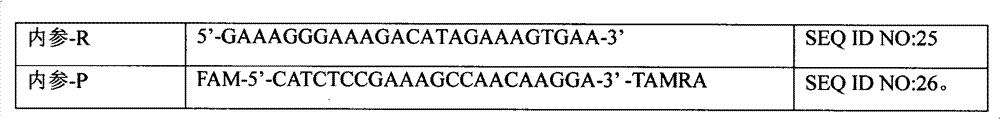 Primers and probe for detecting EGFR gene mutation, kit thereof, and application method of kit