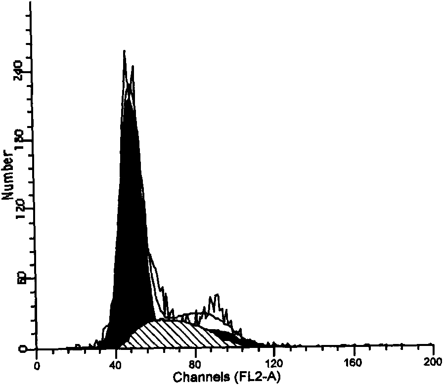 Method for preparing human umbilical cord mesenchymal stem cells