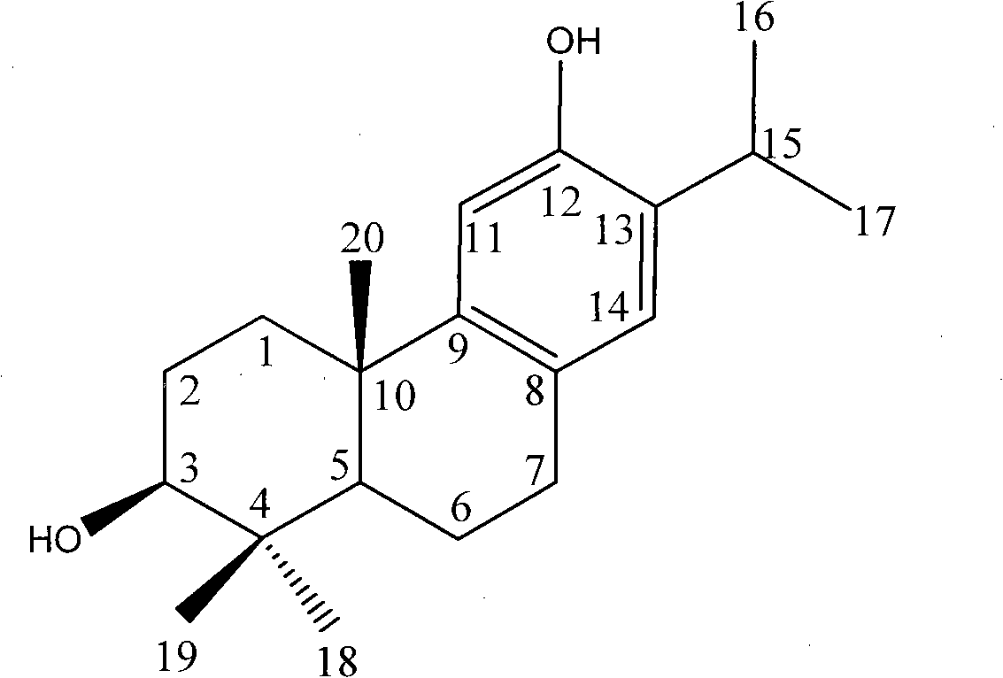 Method for biosynthesizing abietane diterpenoid compounds by using cephalotaxus fortune culture cells