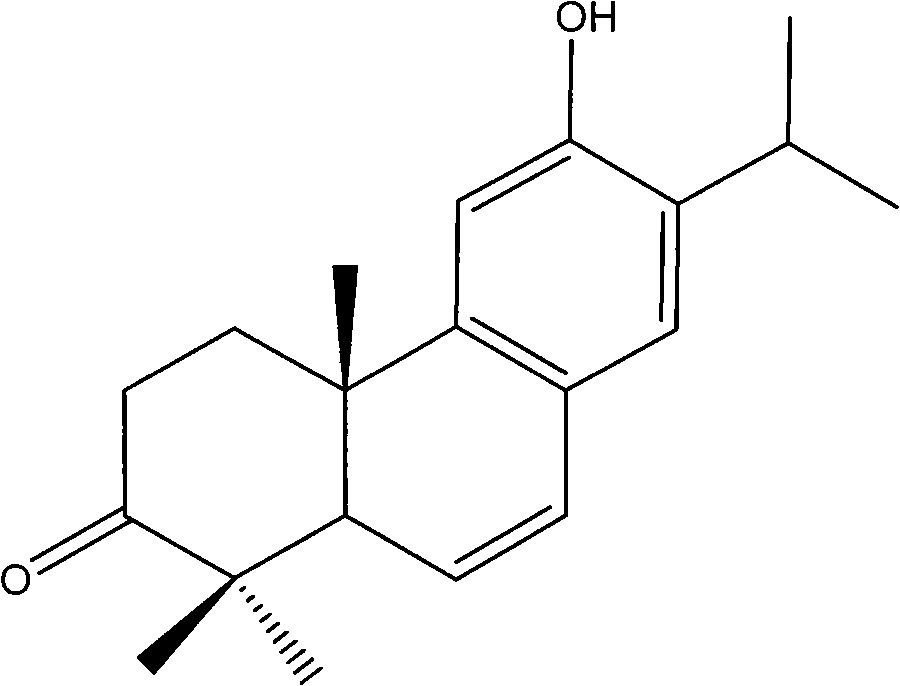 Method for biosynthesizing abietane diterpenoid compounds by using cephalotaxus fortune culture cells