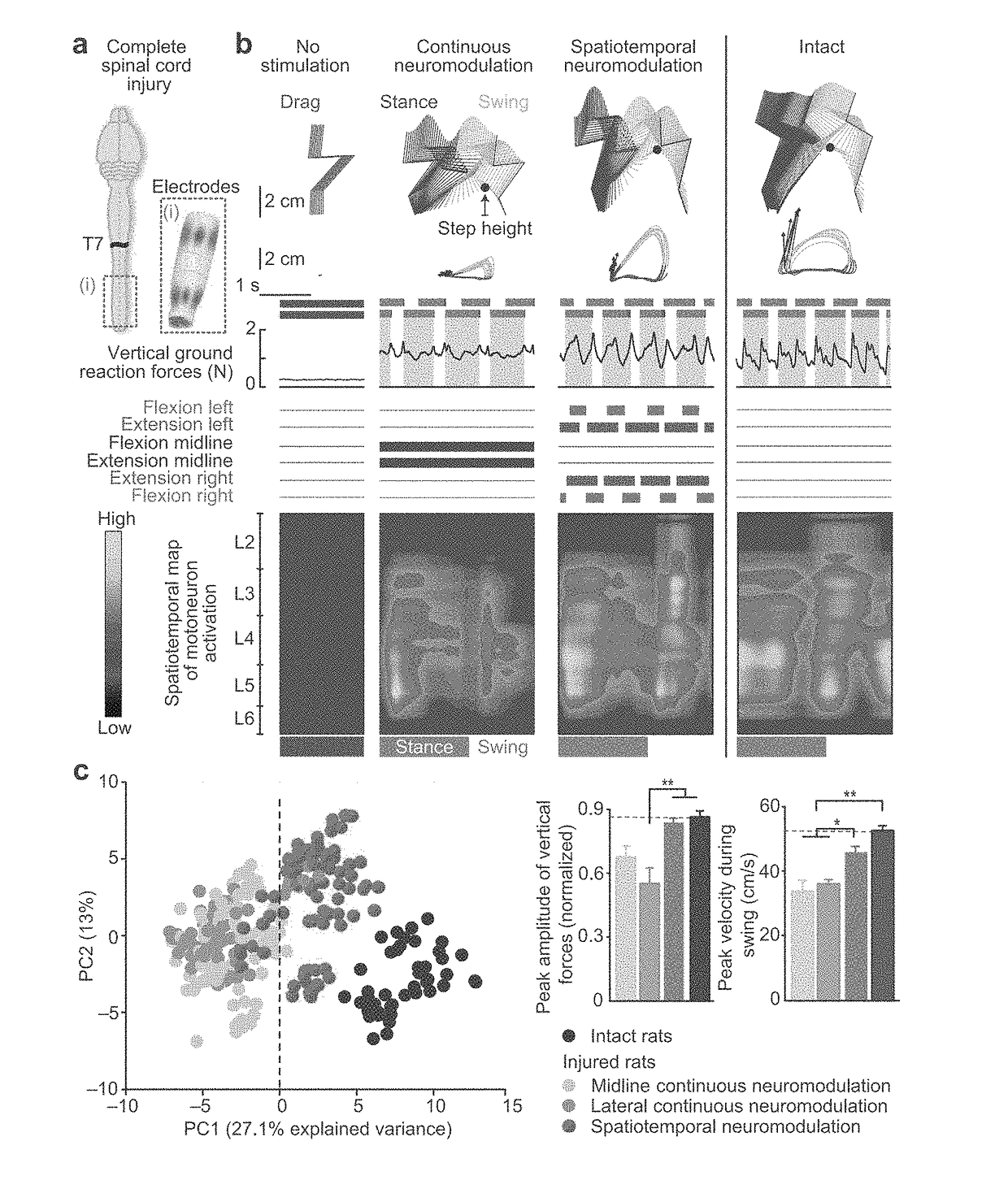 System for selective spatiotemporal stimulation of the spinal cord