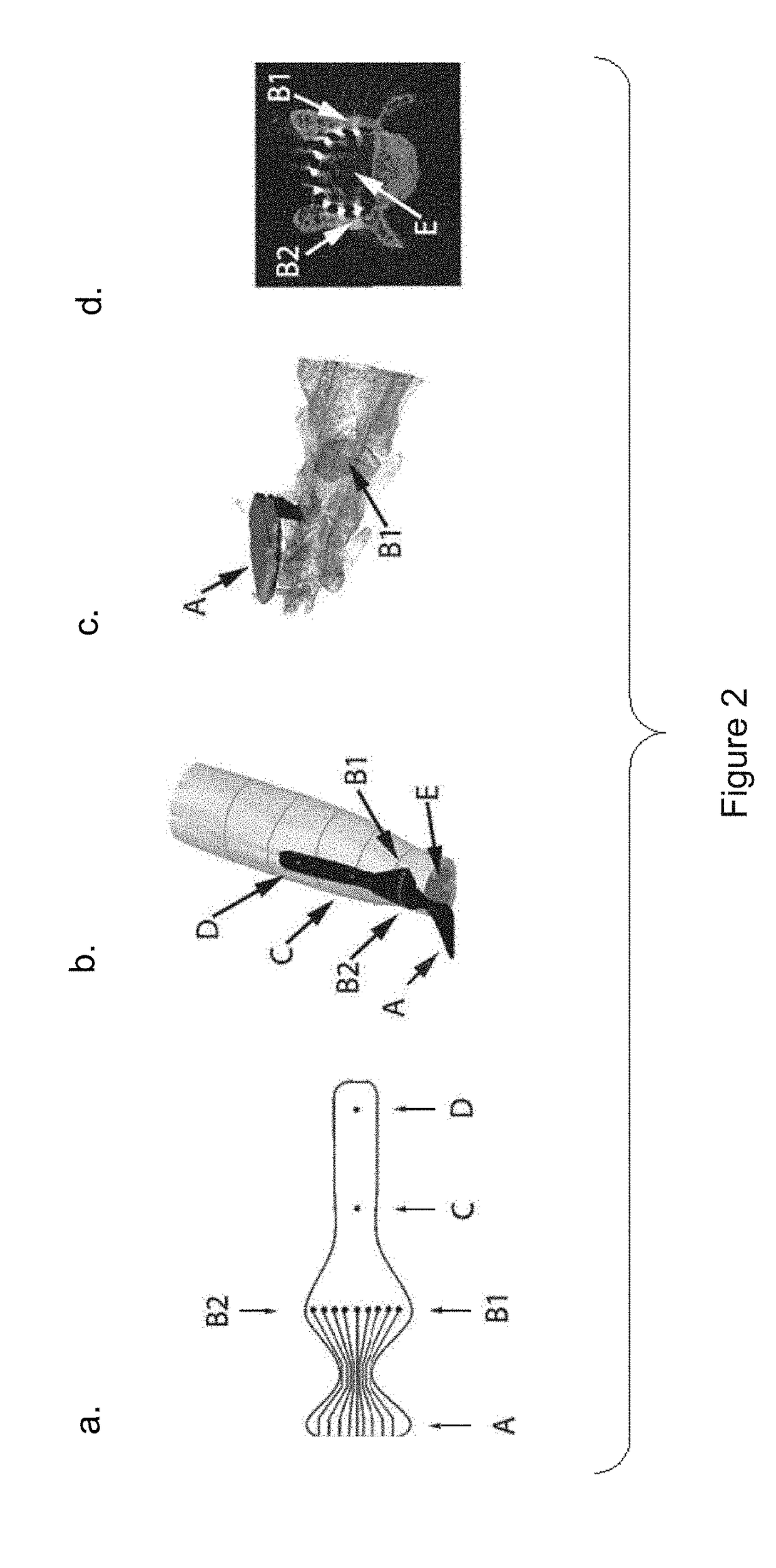 System for selective spatiotemporal stimulation of the spinal cord