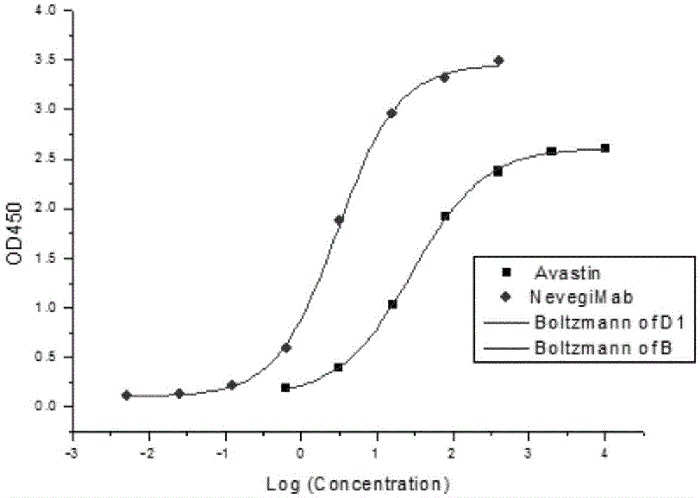 Human vascular endothelial growth factor specifically-binding antibody or antigen-binding fragment and application thereof