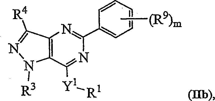 Novel bicyclic heterocyclic compounds, process for their preparation and compositions containing them