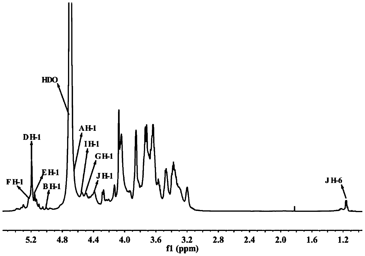 Alpinia oxyphylla sugar polymer and preparation method and application thereof