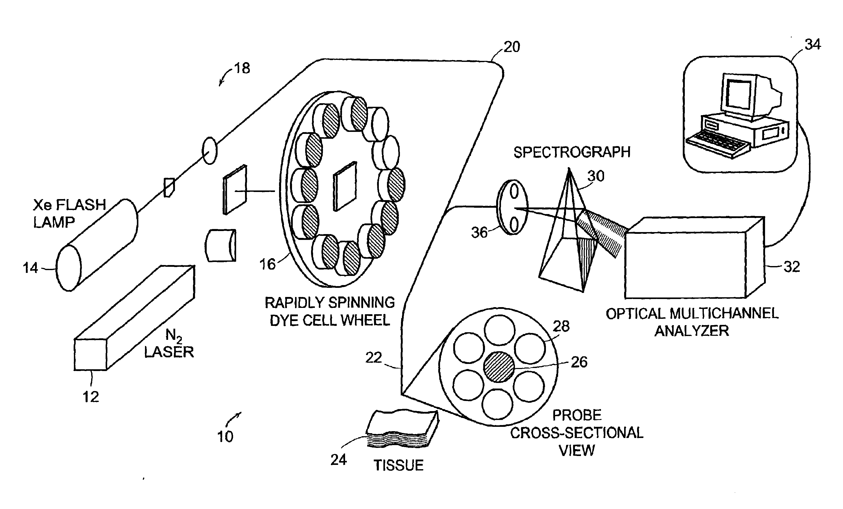 System and methods of fluorescence, reflectance and light scattering spectroscopy for measuring tissue characteristics