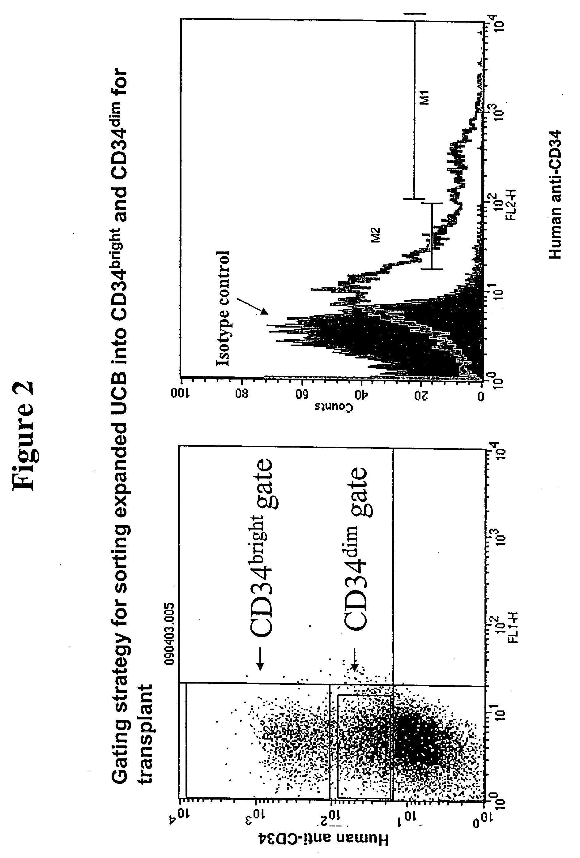 Stem cell populations and methods of use