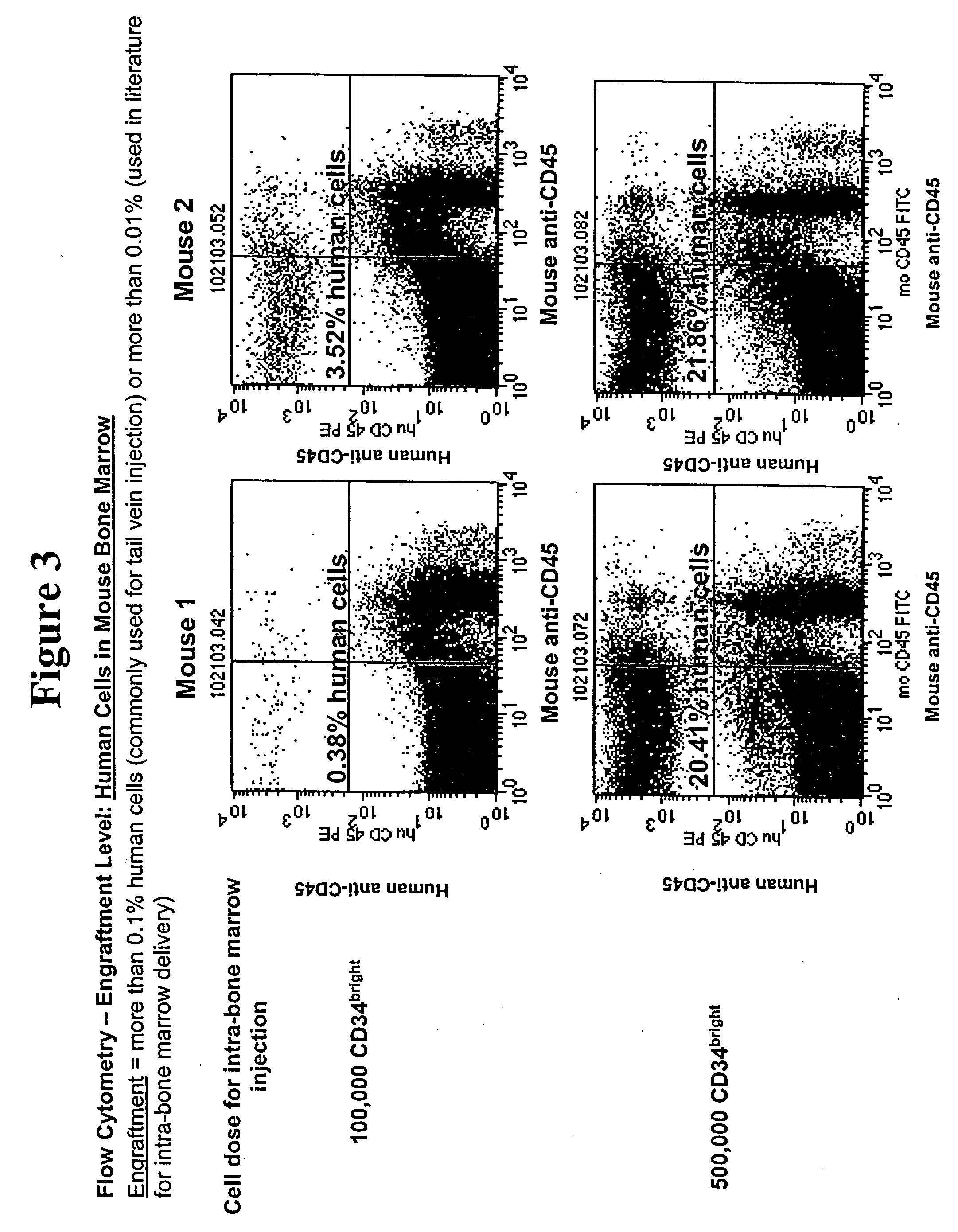 Stem cell populations and methods of use