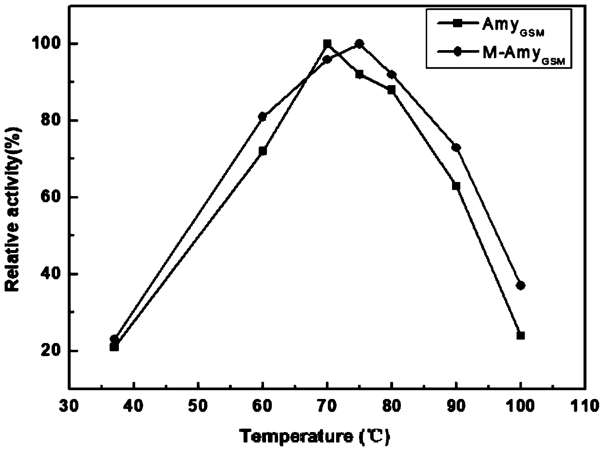 Heat-resistant alpha-amylase from bacillus geobacillus stearothermophilus and application thereof