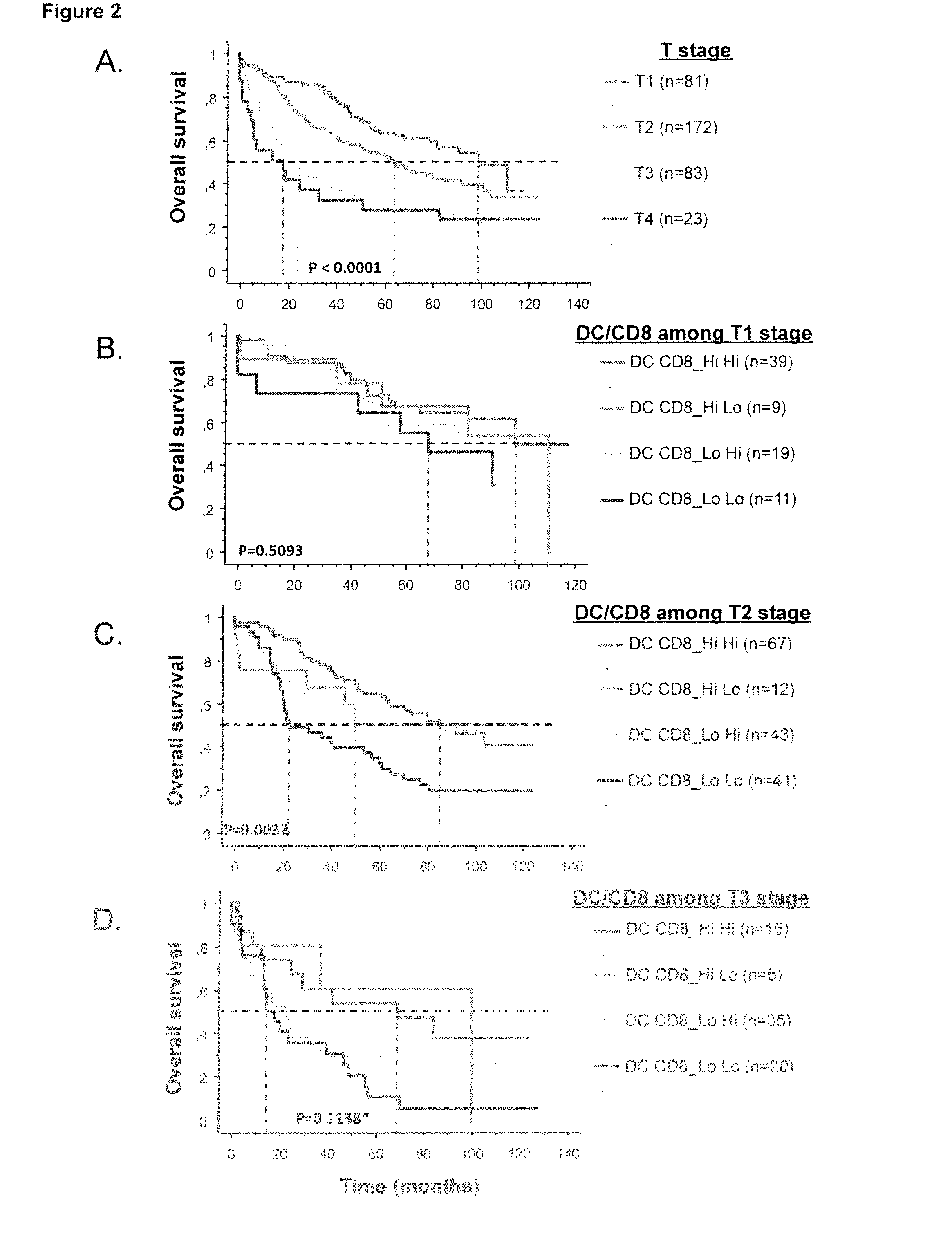 Method for the Prognosis of Survival Time of a Patient Suffering from a Solid Cancer