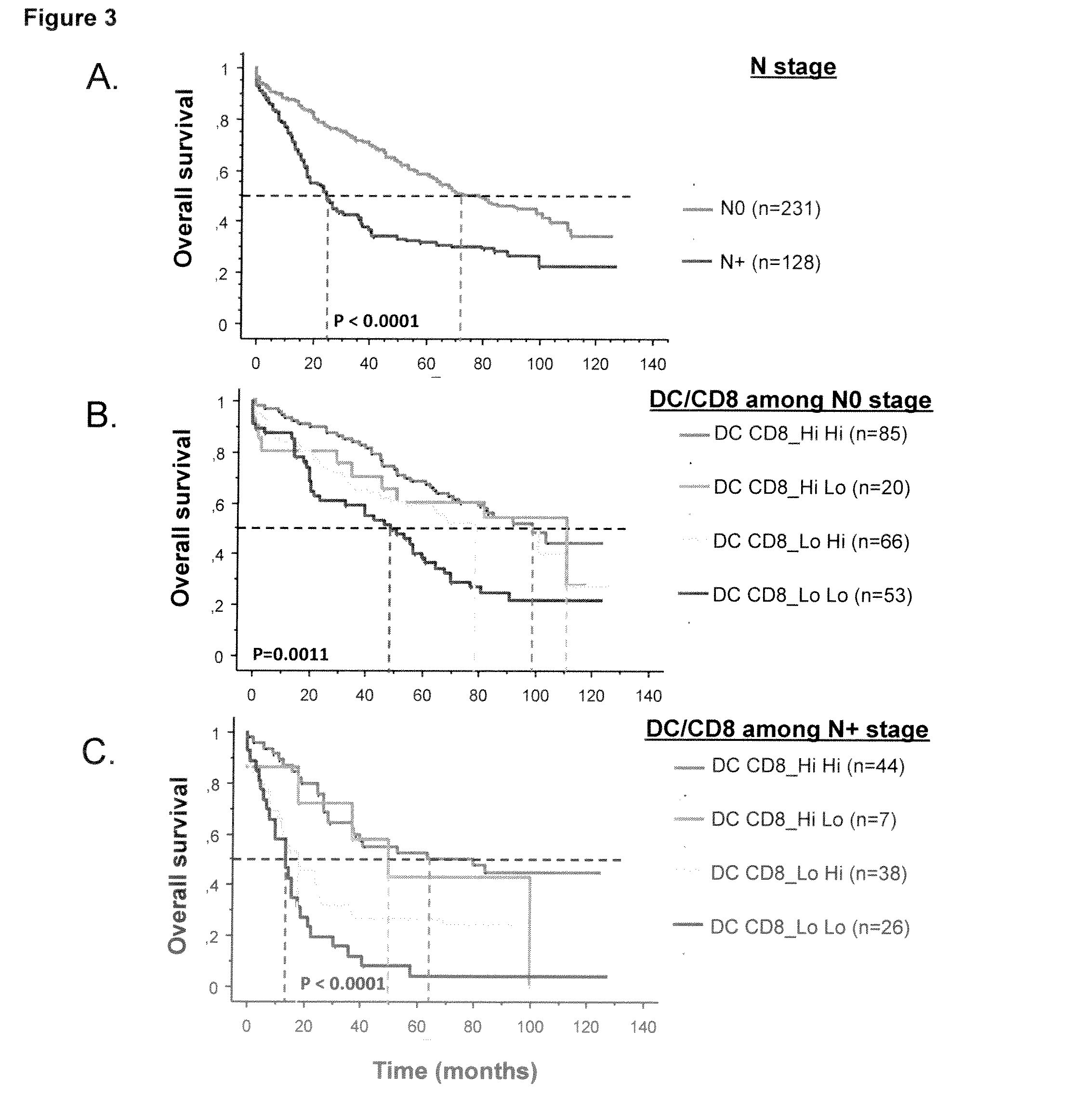 Method for the Prognosis of Survival Time of a Patient Suffering from a Solid Cancer