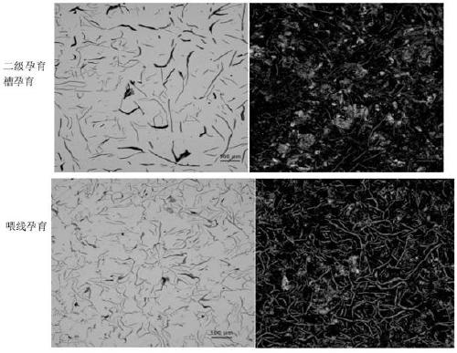 Inoculation line formula for gray cast iron feeding and inoculation and production process