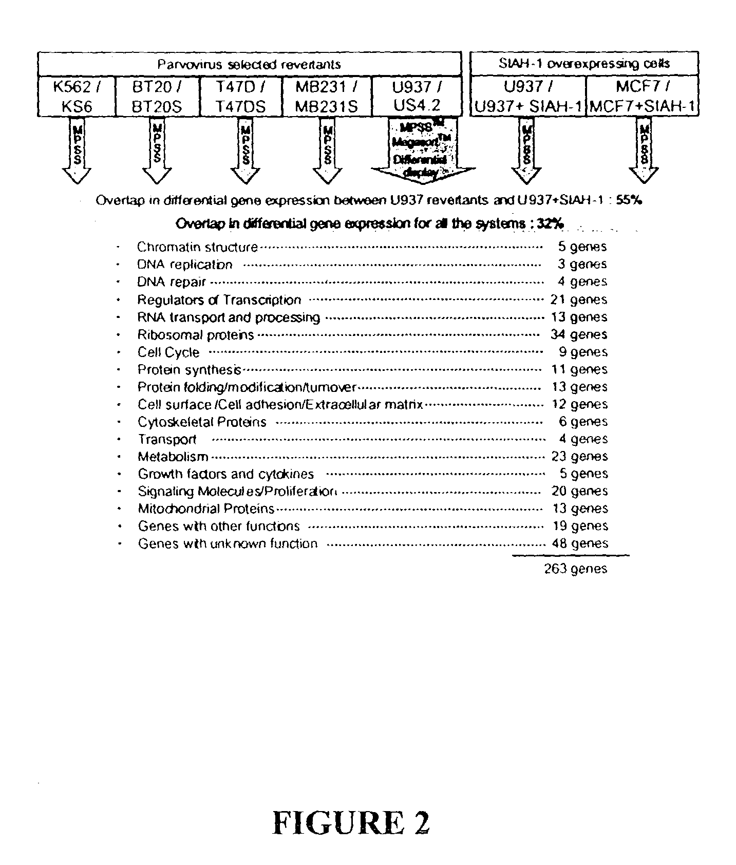 Compositions and methods for the treatment of cancer