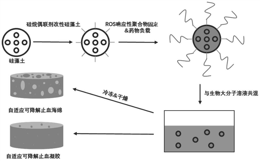 Self-adaptive degradable hemostatic material and preparation method thereof