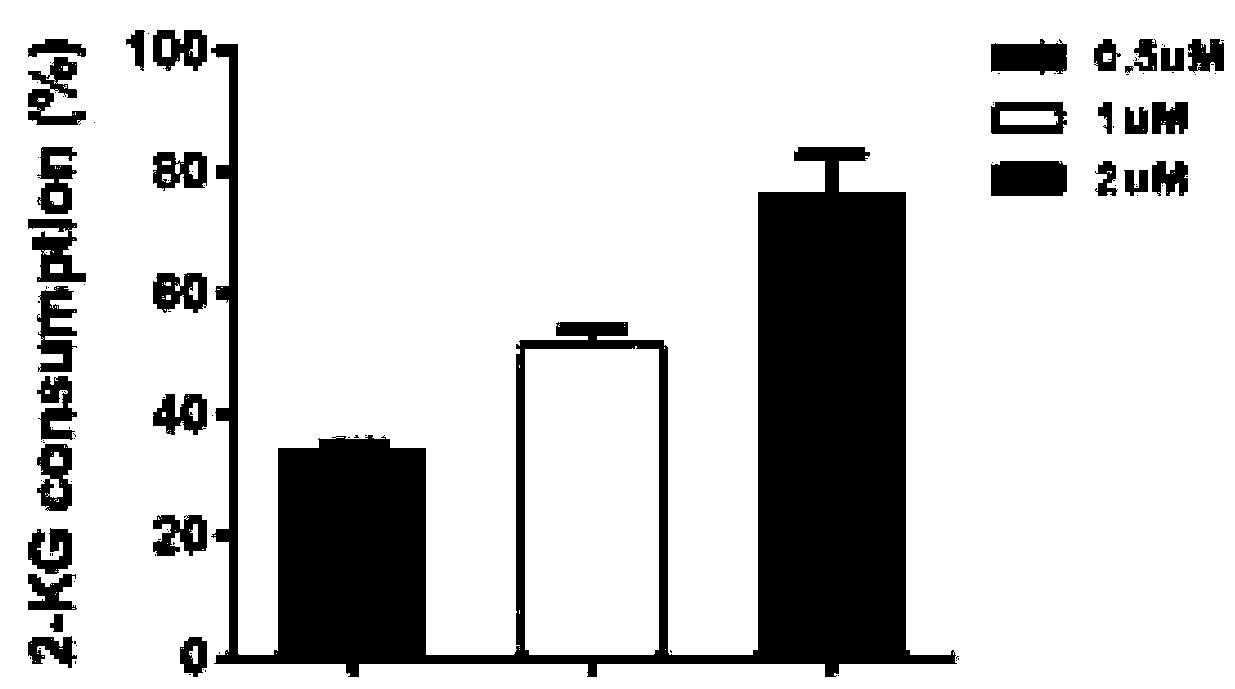 Enzyme activity detection kit for alpha-oxoglutarate dependent enzyme and application thereof