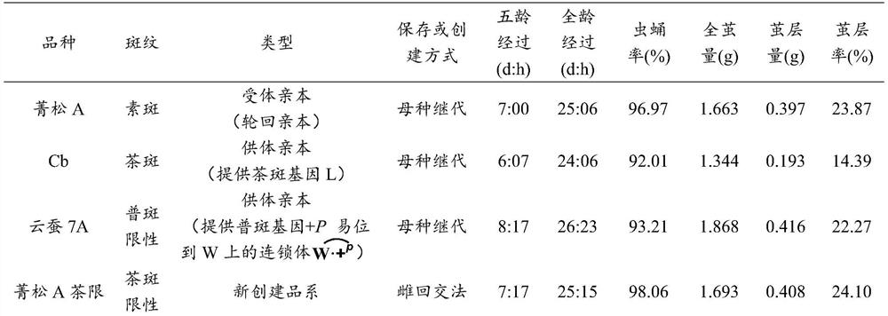 Female backcross method for directionally transferring silkworm plain markings variety into multilunar sex-limiting system