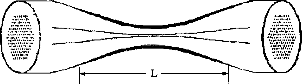 Optical fiber sensor of plasma resonance microstructure