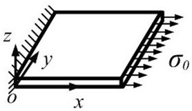 A Tensile Microstress Detection Method for Performance Degradation of Fiber Reinforced Composite Materials