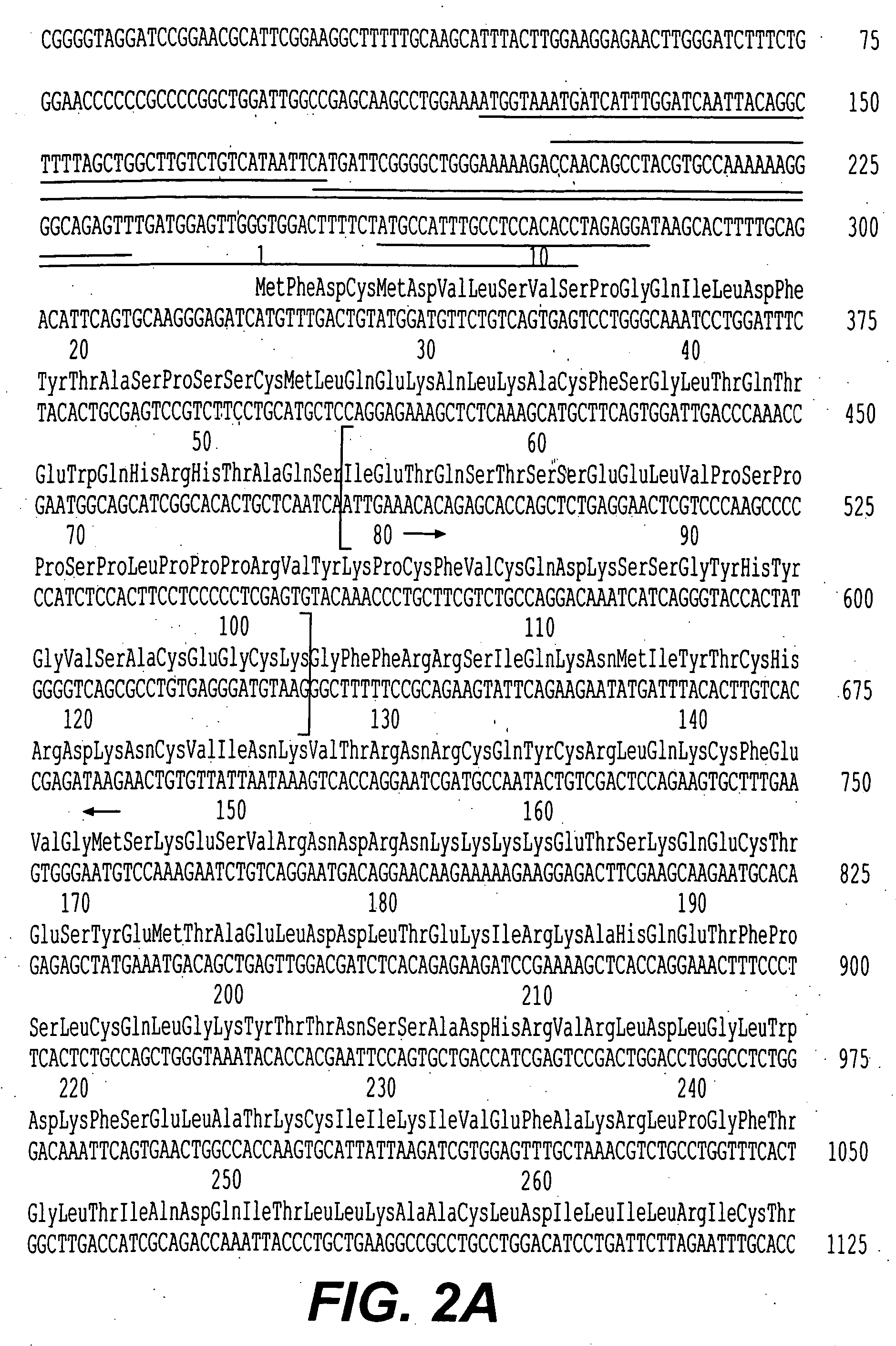 Novel steroid/thyroid hormone receptor-related gene, which is inappropriately expressed in human heptocellular carcinoma, and which is a retinoic acid receptor