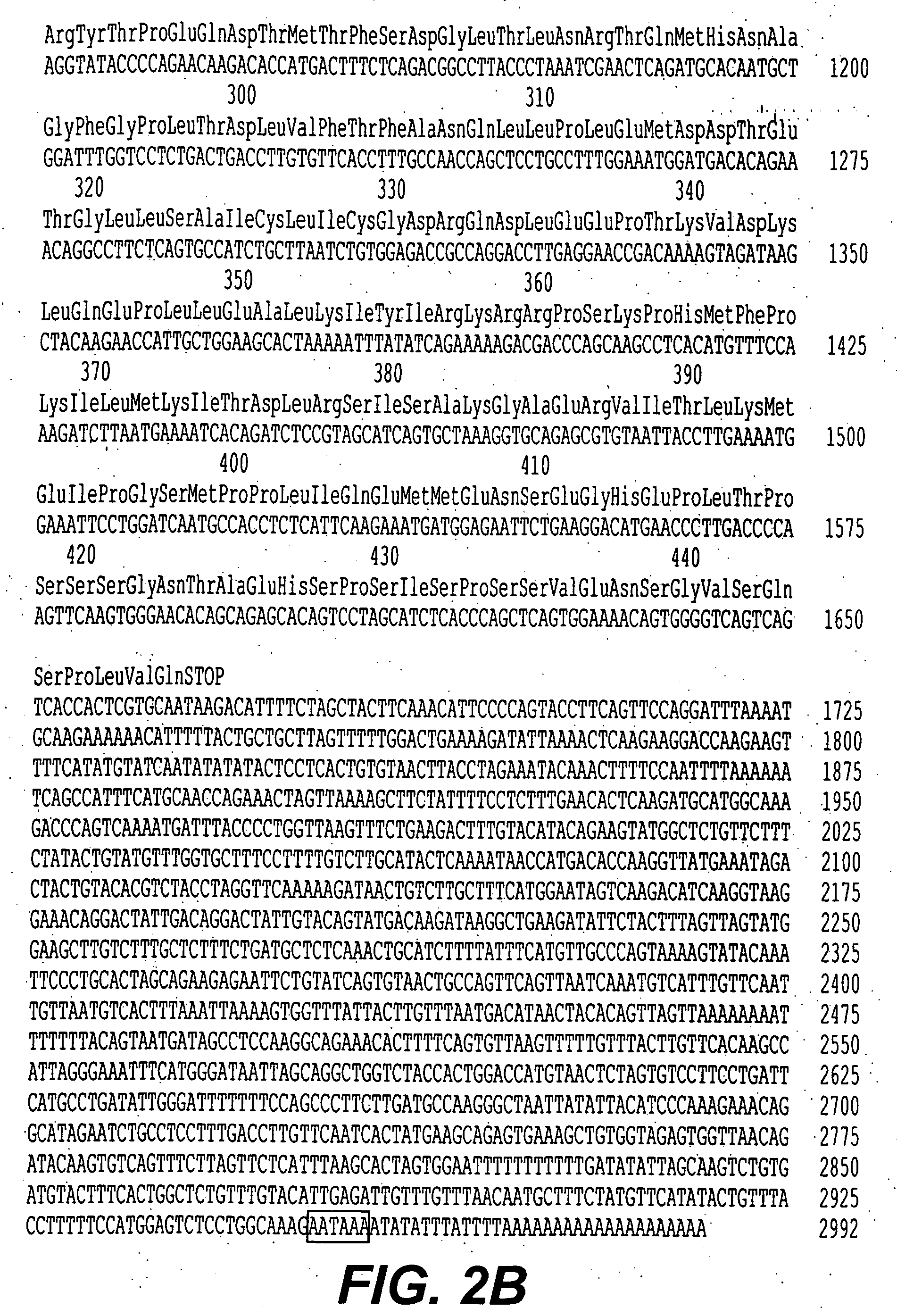 Novel steroid/thyroid hormone receptor-related gene, which is inappropriately expressed in human heptocellular carcinoma, and which is a retinoic acid receptor