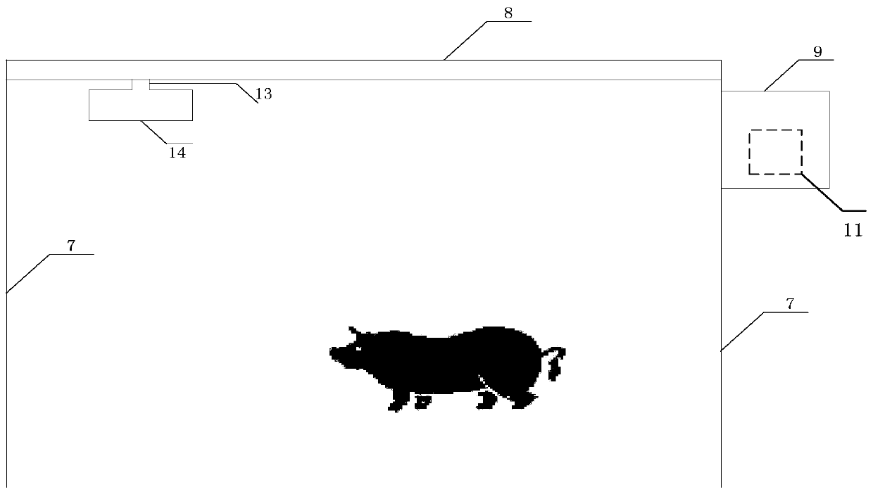 Pig individual checking system and method