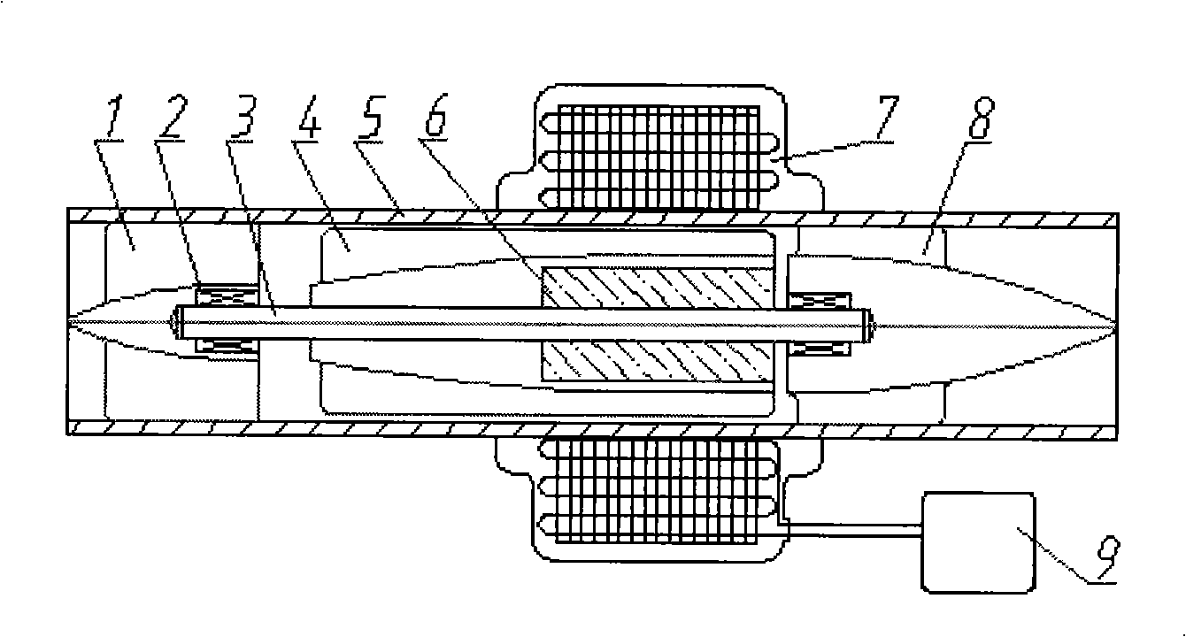 Implanted miniature streamlined shaft bloodshed pump