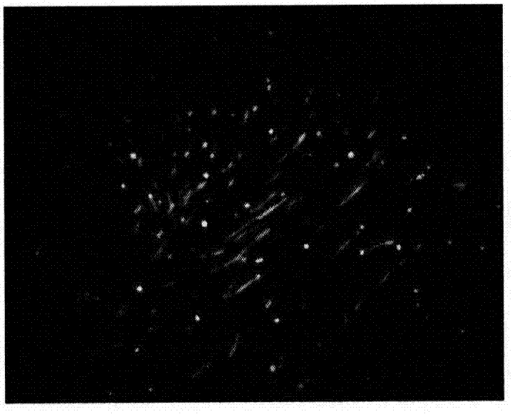 Pseudorabies virus JS-2012 infectious clone plasmid and construction method and application