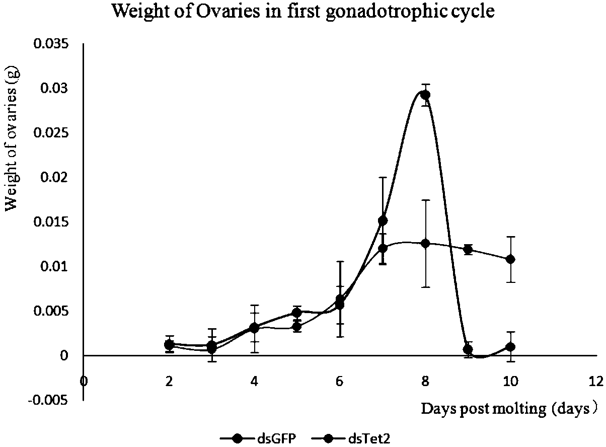 DsRNA and application thereof to German cockroach