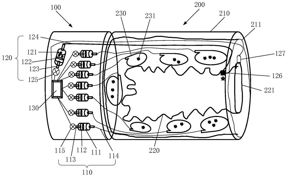 Seminal fluid collecting device and control system thereof