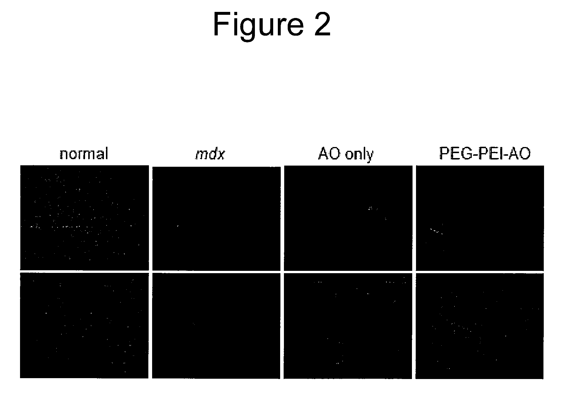 Improved carriers for delivery of nucleic acid agents to cells and tissues