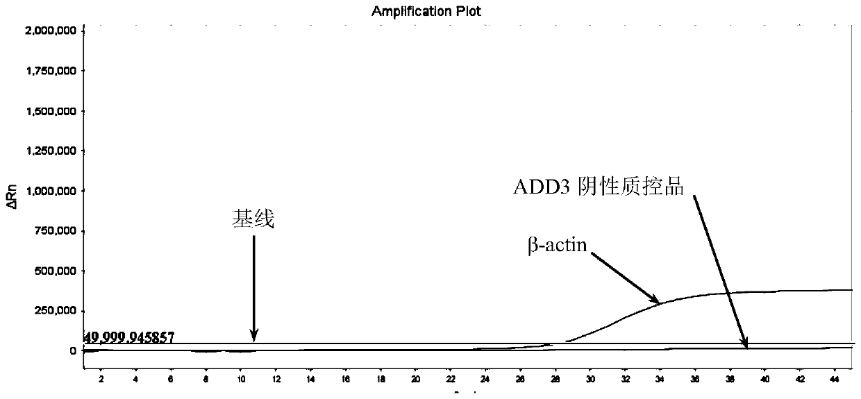 Primer probe composition, kit and detection method for detecting methylation of human ADD3 and CDH23 genes