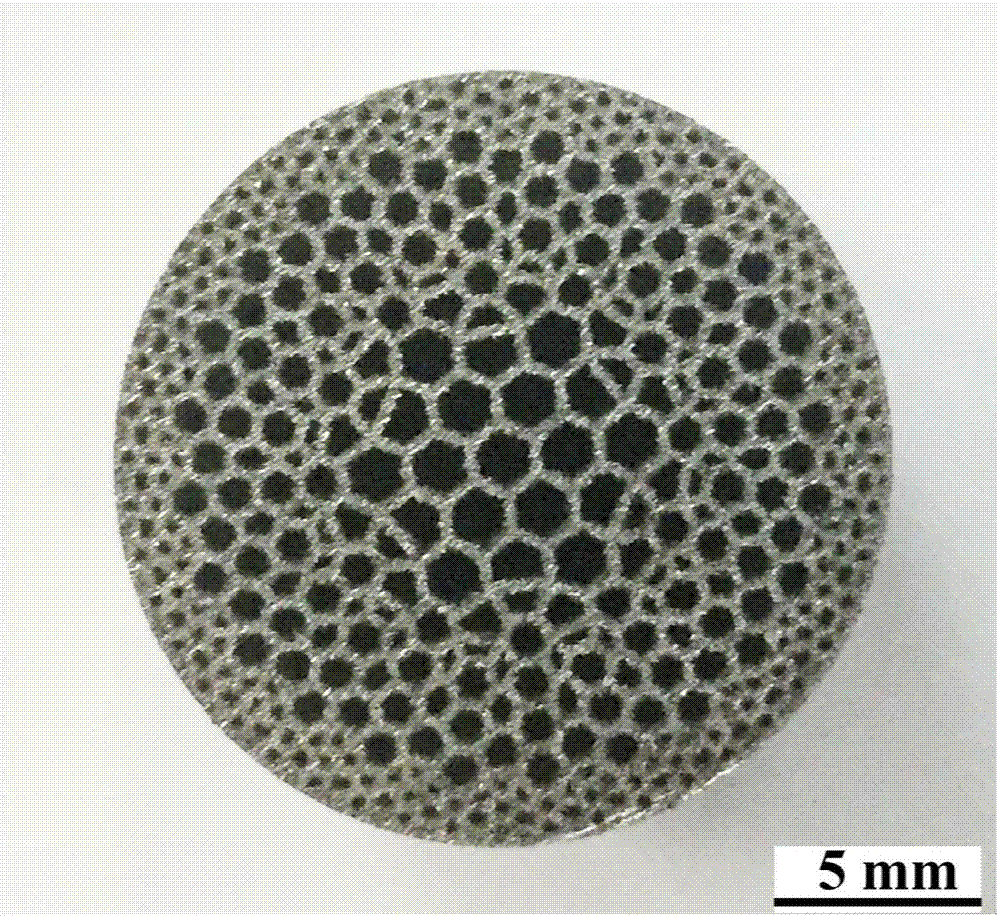 Function gradient bionic structure titanium alloy artificial implant and forming method thereof