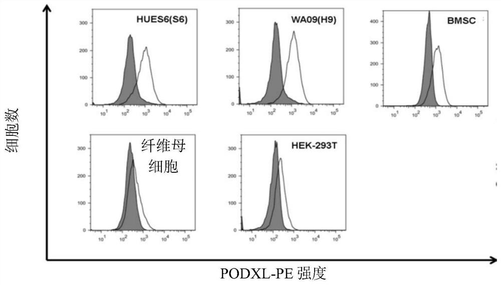 Methods for regulating potency of pluripotent stem cells and applications thereof