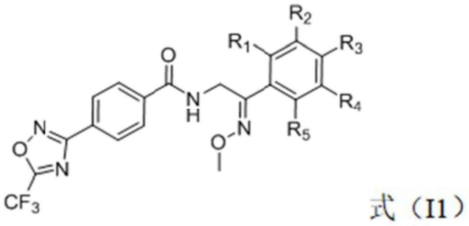 Trifluoromethyl oxadiazole compound, preparation method and application thereof, and bactericide