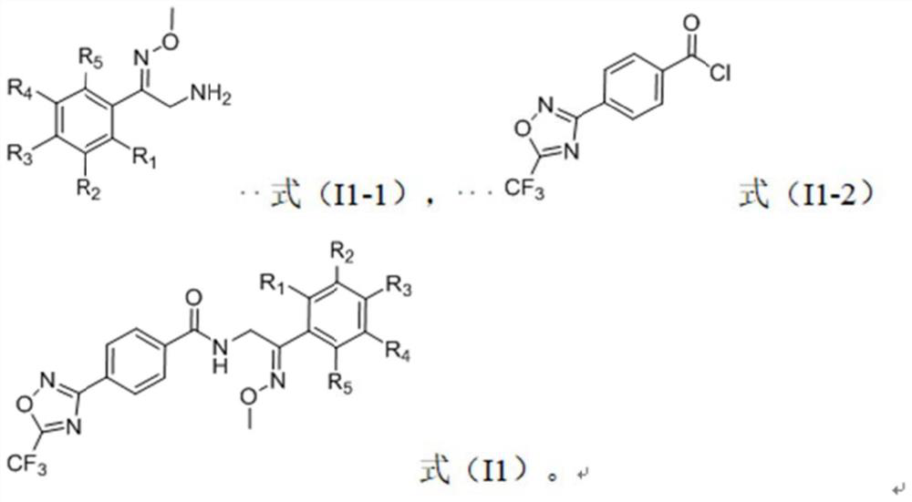 Trifluoromethyl oxadiazole compound, preparation method and application thereof, and bactericide