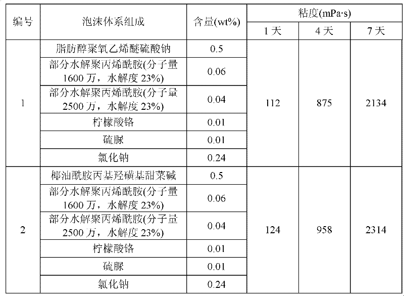 Foam profile control agent applicable to oil field in-depth profile control