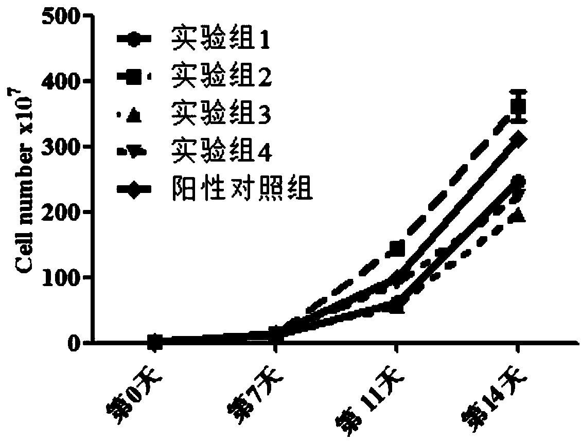 Culture composition for amplifying primary NK cells in vitro without feeder layer and application thereof