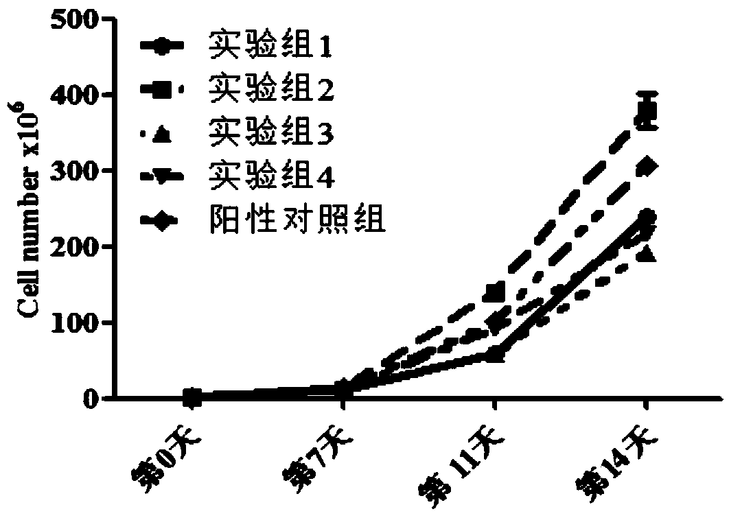 Culture composition for amplifying primary NK cells in vitro without feeder layer and application thereof