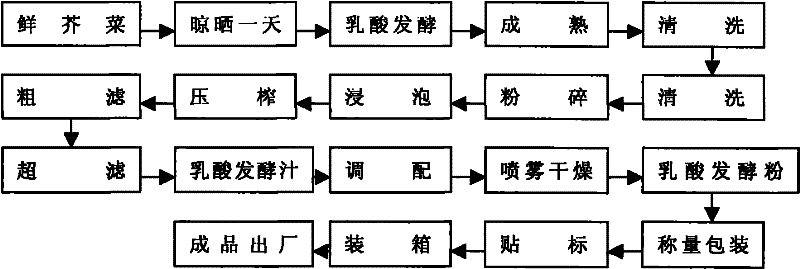 Processing method of lactic acid fermented mustard powder flavoring