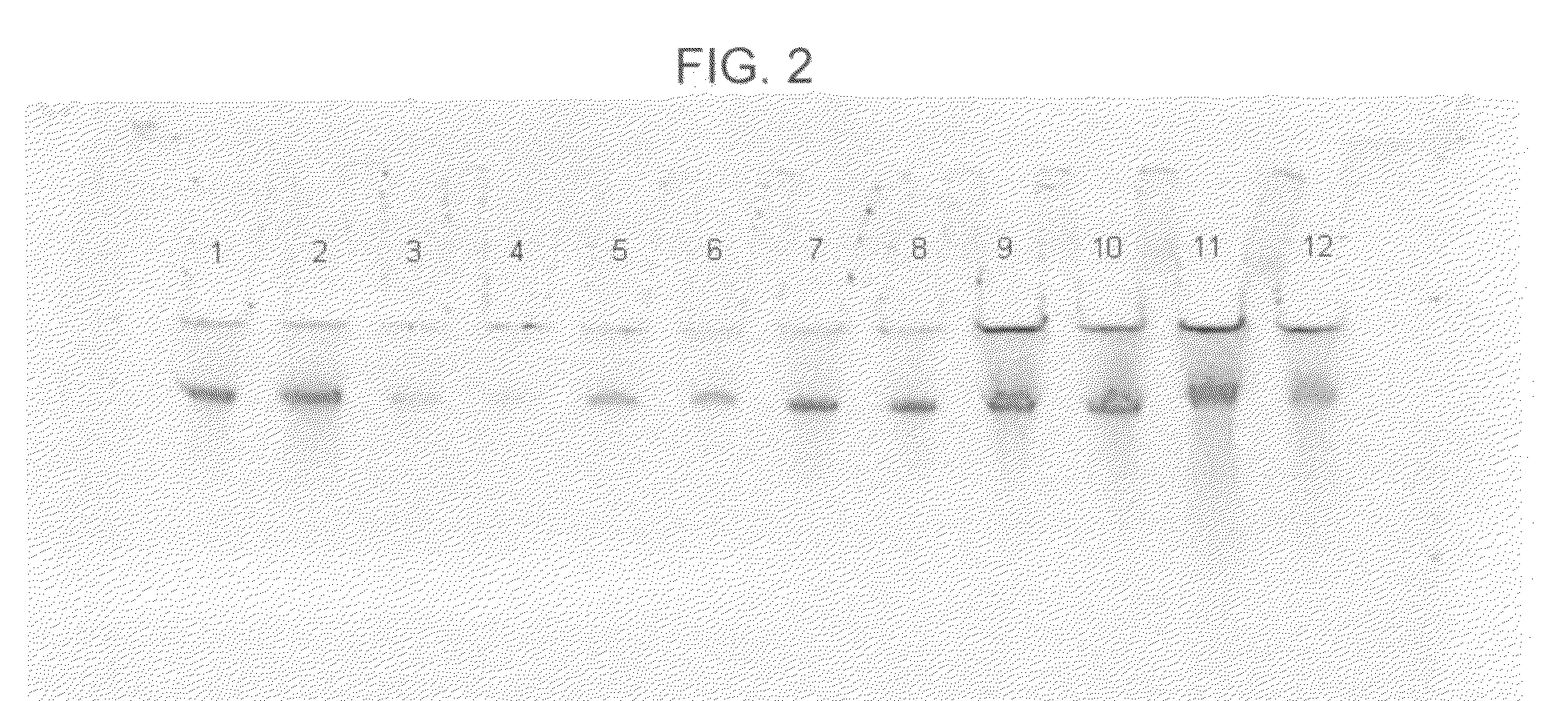 Methods of purifying a nucleic acid and formulation and kit for use in performing such methods