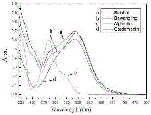 Method for determining content of main active components in Alpinia katsumadai by using ultraviolet spectrophotometry