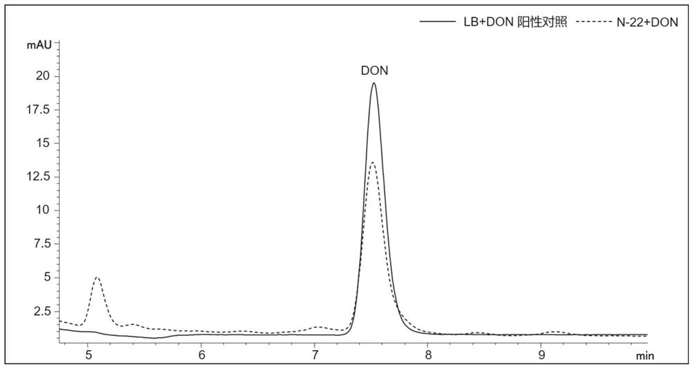 Bacillus subtilis for efficiently degrading deoxynivalenol and application of bacillus subtilis