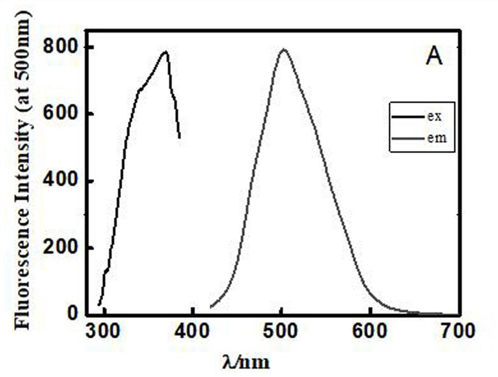 A Simple and Fast Method for Detecting CTAB