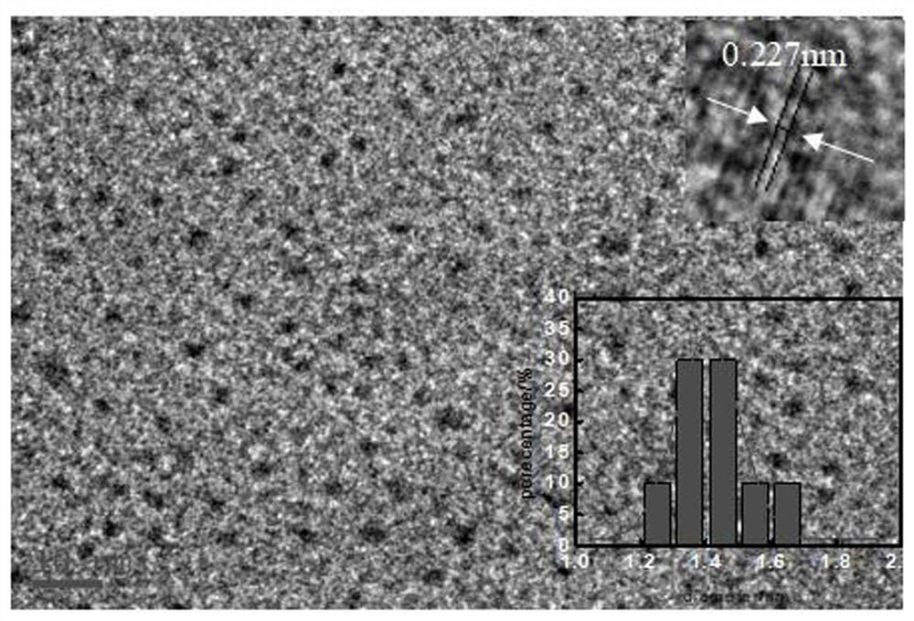 A Simple and Fast Method for Detecting CTAB