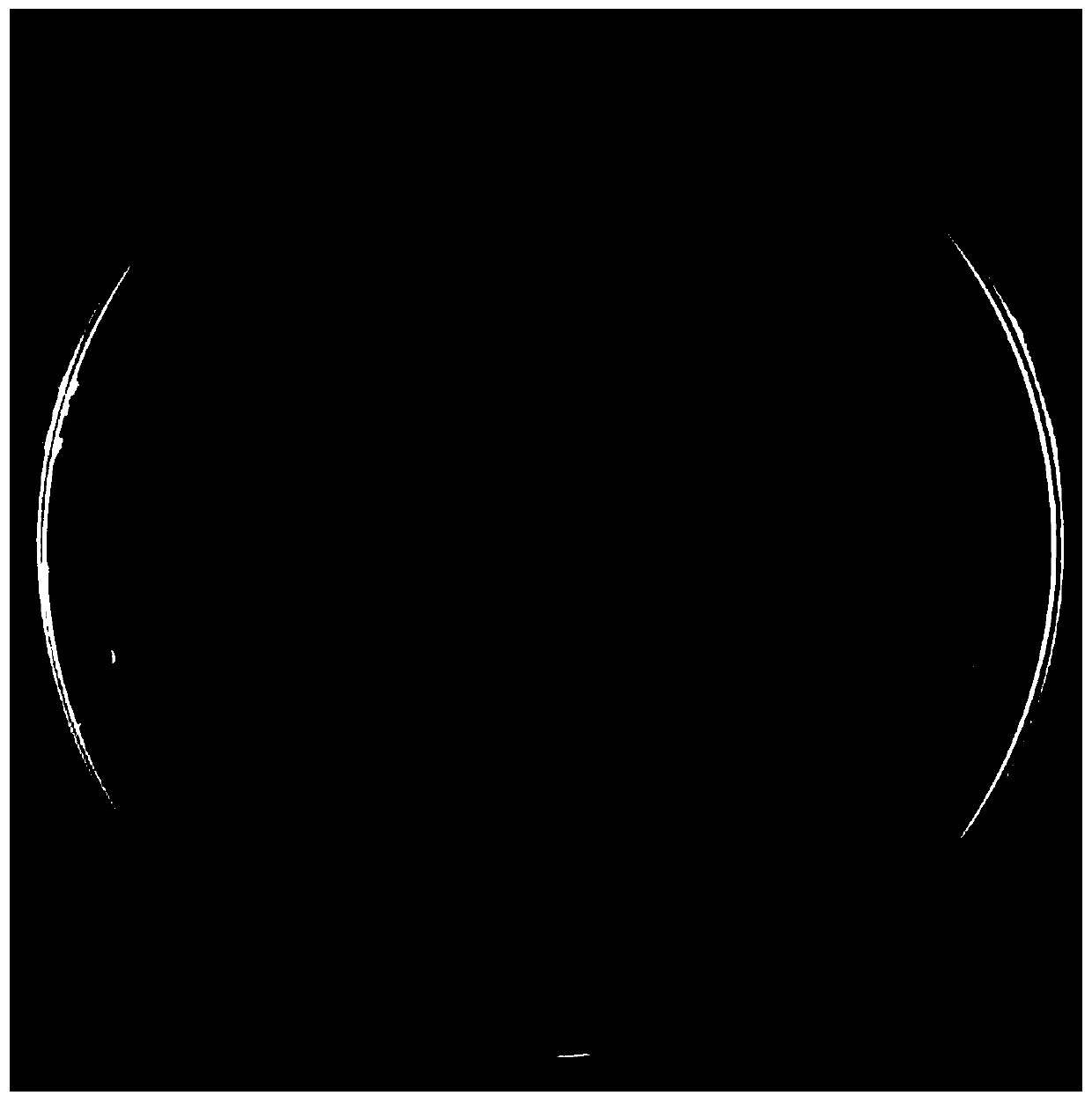 A kind of Pediococcus lactis and its application in kitchen waste