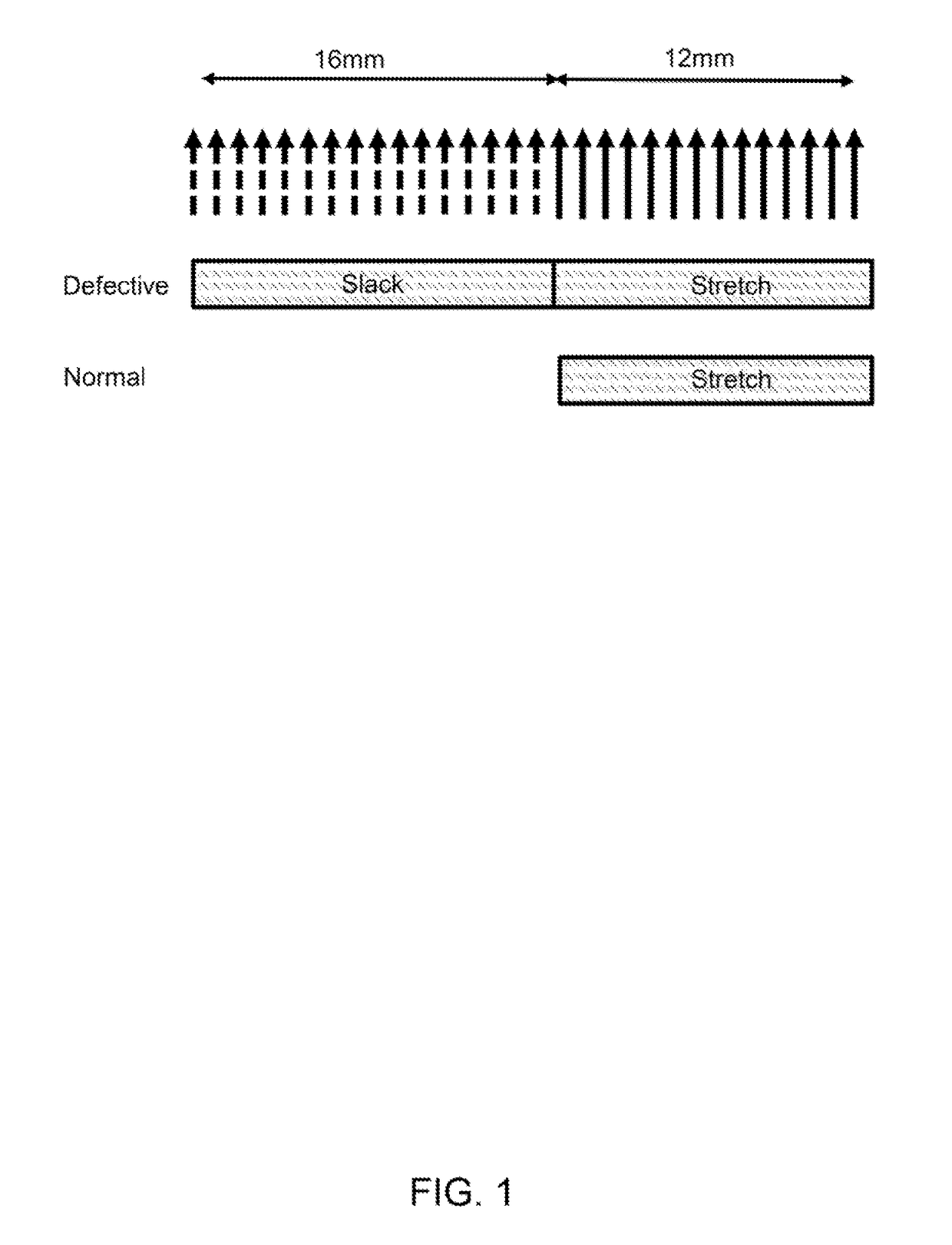 Neuromuscular plasticity apparatus and method using same