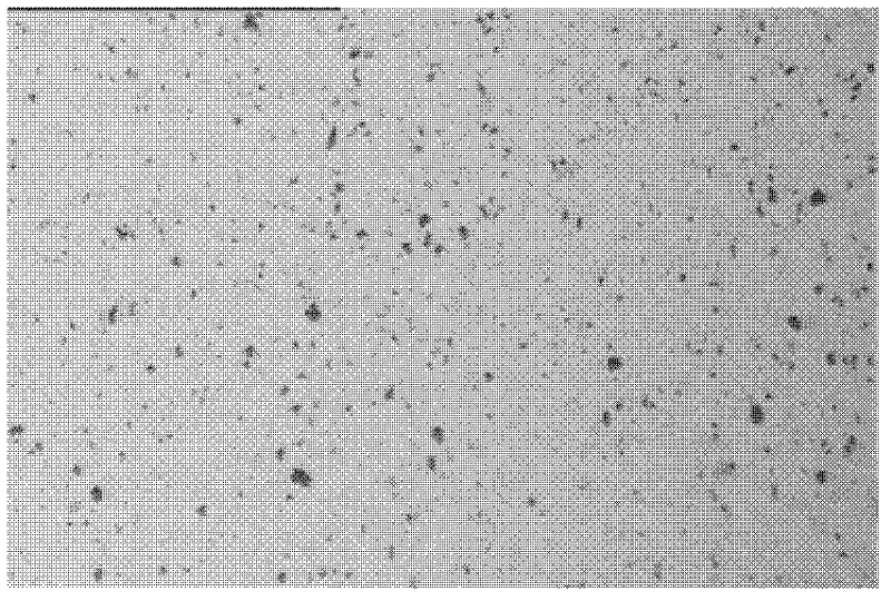 Copper-based contact material for low-voltage apparatus