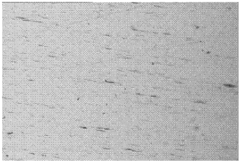 Copper-based contact material for low-voltage apparatus