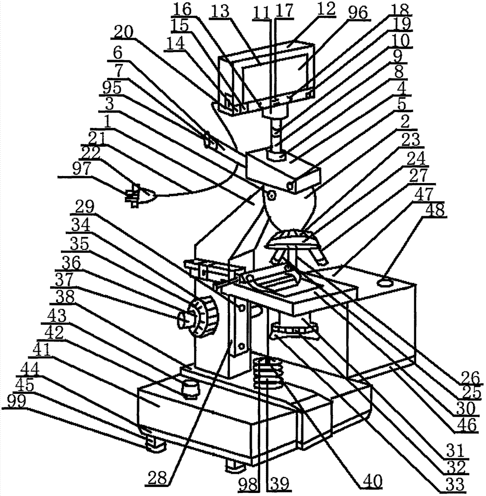 Enterogastritis endoscopic biopsy examination device